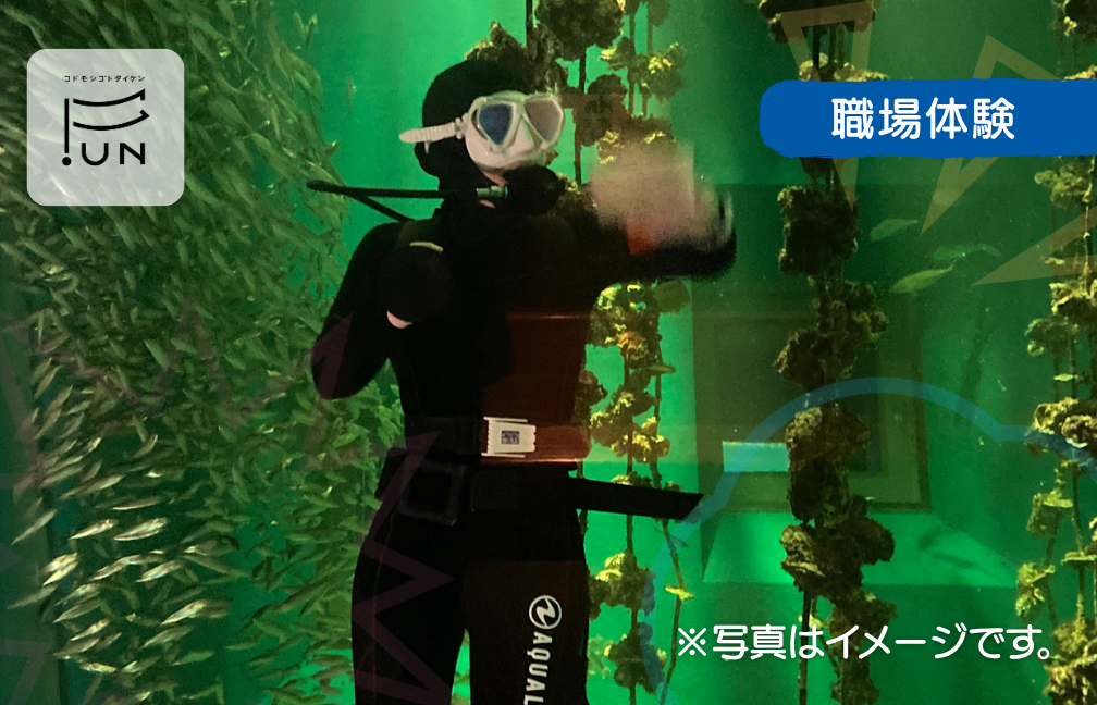 【飼育員（水族館）】水槽の向こう側を見てみよう！　小学3～6年対象
